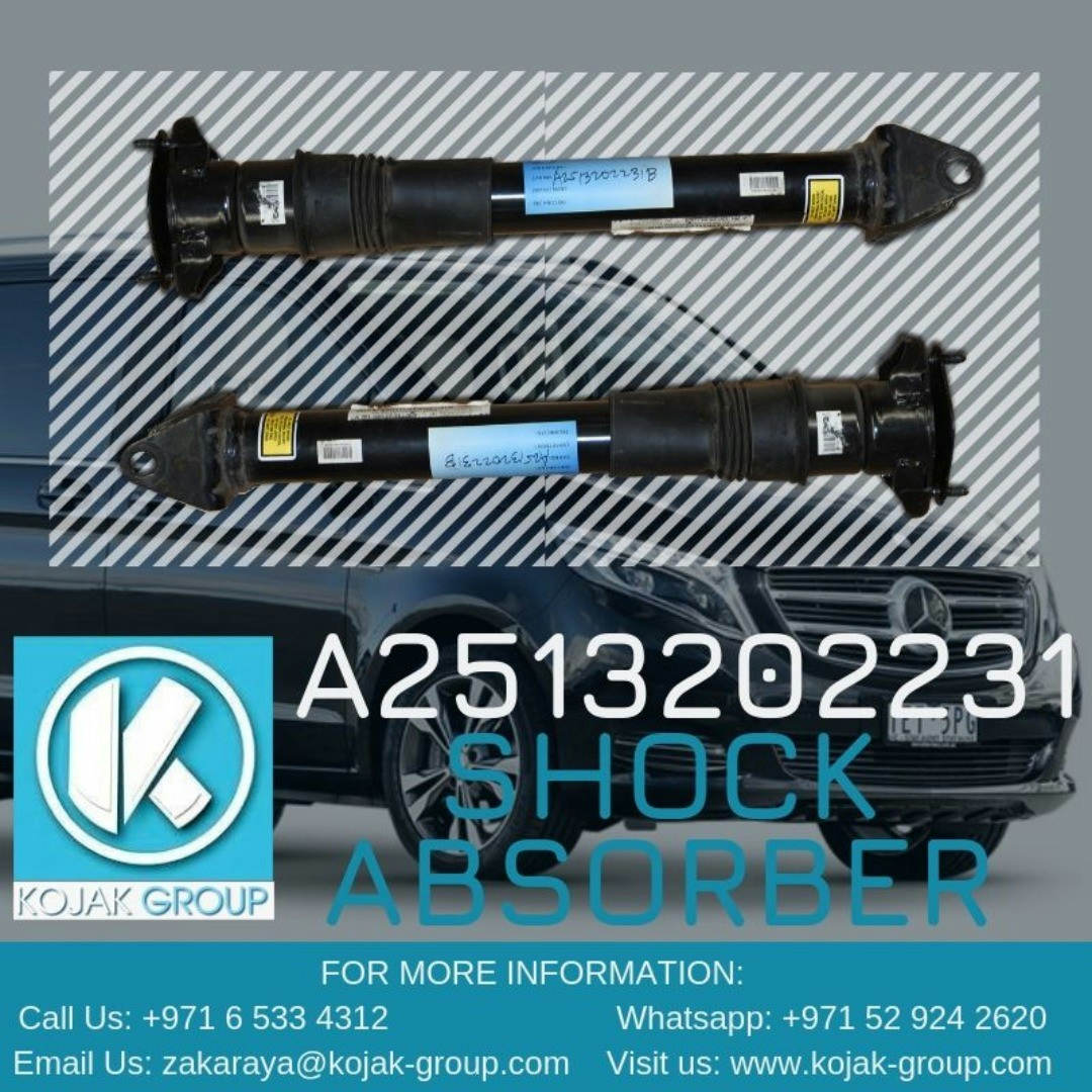 Mercedes-Benz R-Class W251 Shock Absorber