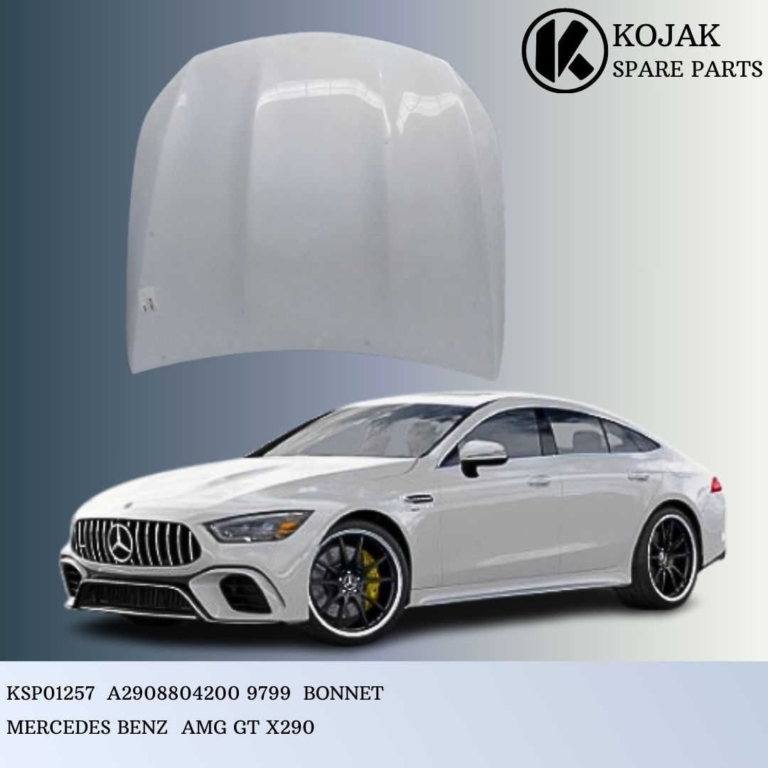 Bonnet for Mercedes-Benz AMG GT X290
