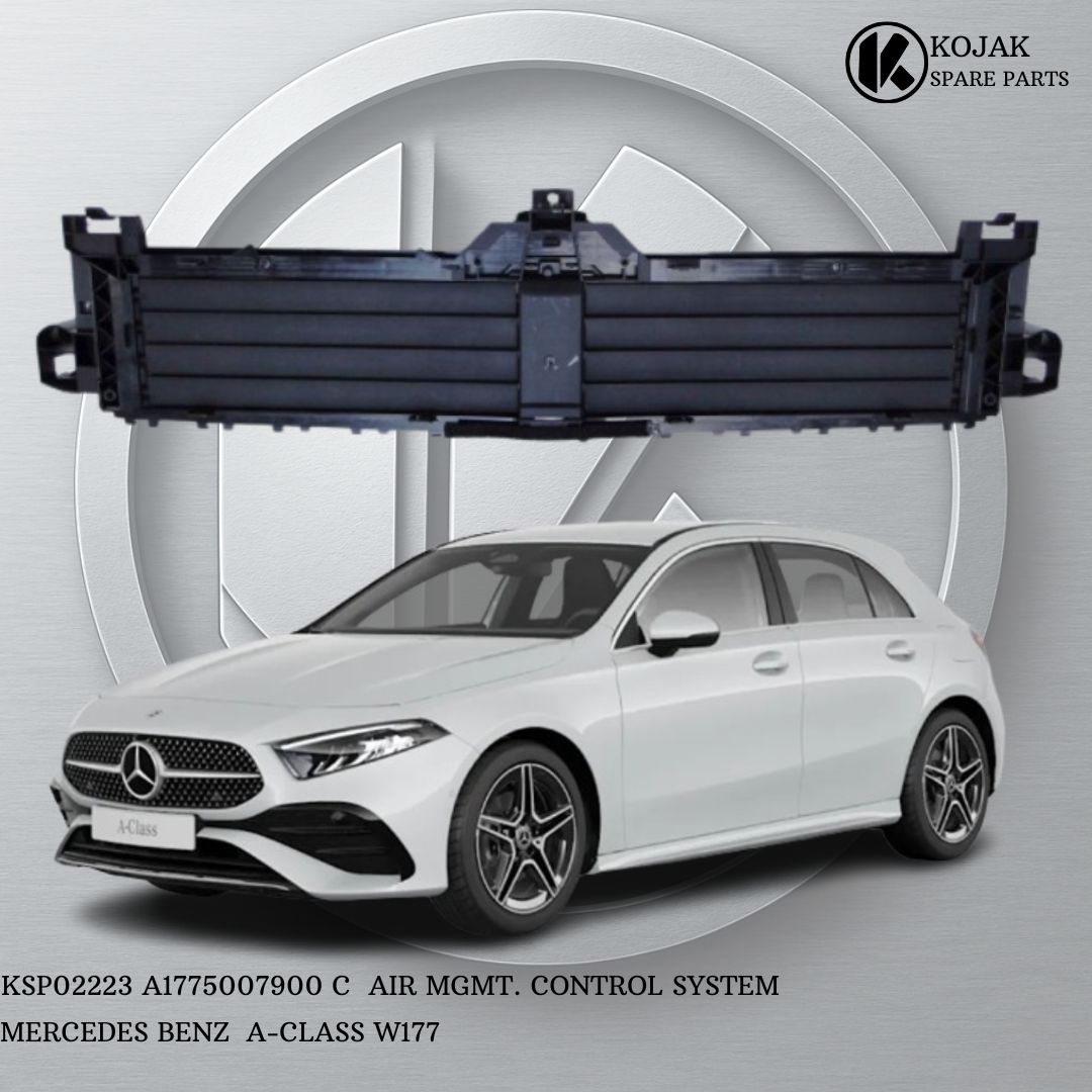 Mercedes-Benz A-Class W177 Air Management Control System