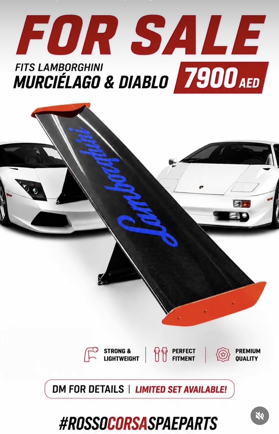 Lamborghini Murcielago & Diablo Carbon Fiber Rear Wing