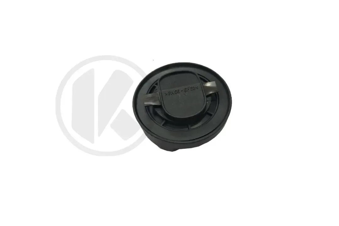 a0000100285
