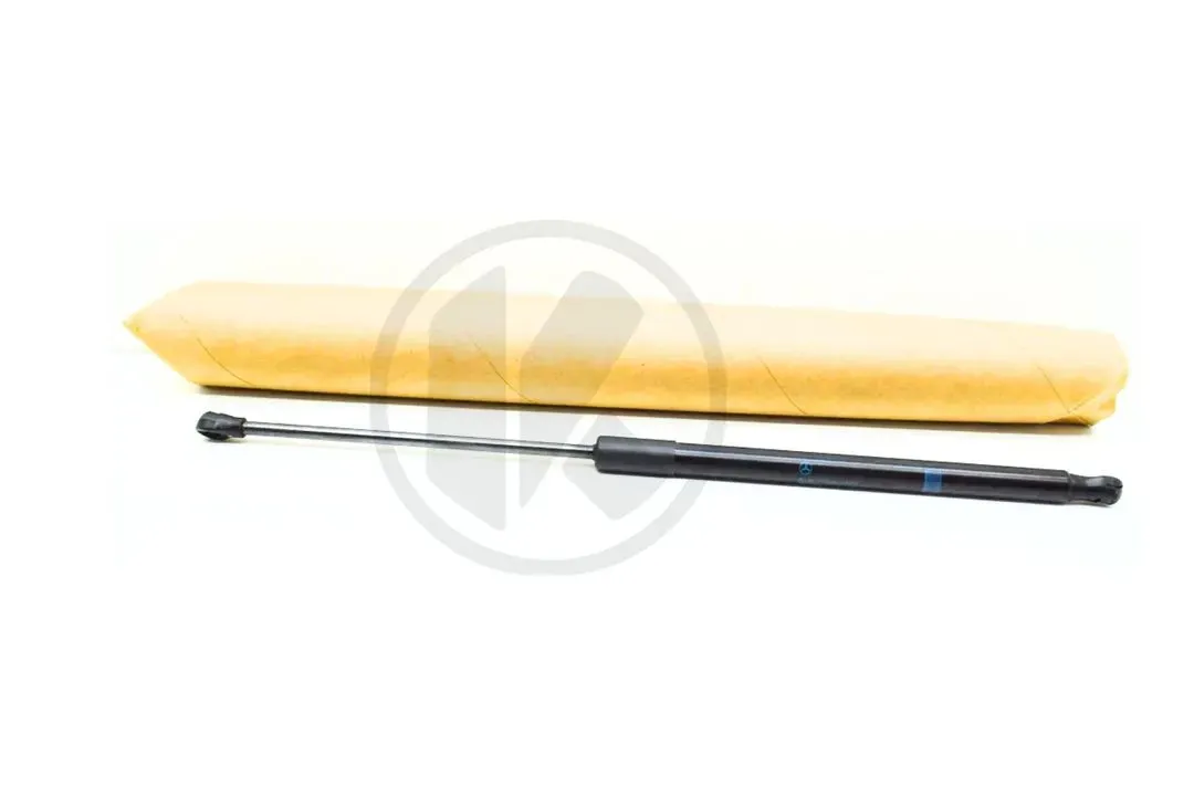 PNEUMATIC SPRING