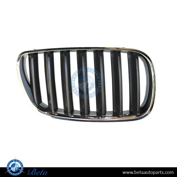 BMW X3 E83 LCI (2007-2010), Radiator Grille - Chrome Titanium (Left), Taiwan, 51113420091