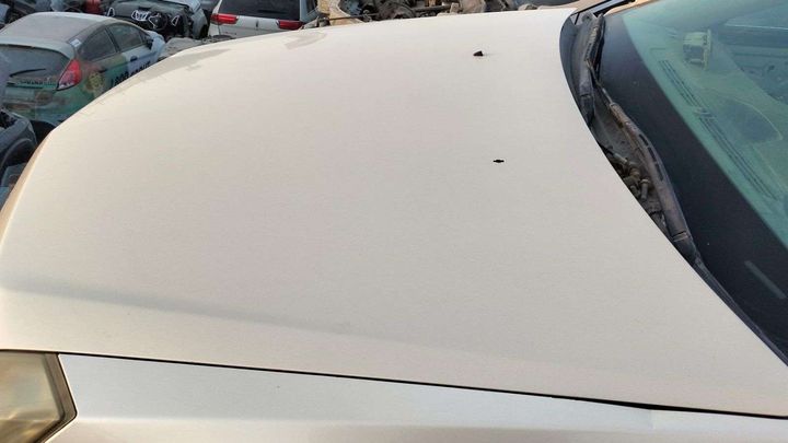 Hood/Bonnet - 2013 Cadillac CTS