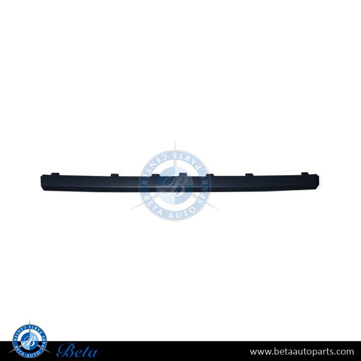 Mercedes S-Class W221 (2010-2013), Rear Diffuser Moulding Normal AMG (Small), Taiwan, 2218852125