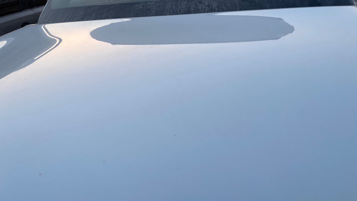 Hood/Bonnet - 2013 Infiniti QX56