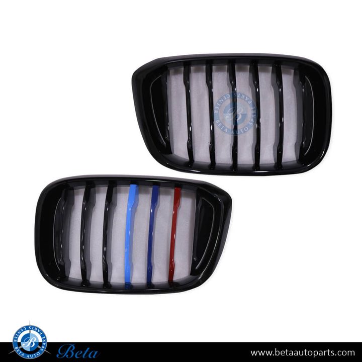 BMW X3 / X4 G01 / G02 (2018-2021), Radiator Grille 3 Color Look (Gloss Black), China, 51137397465 / 51137397466