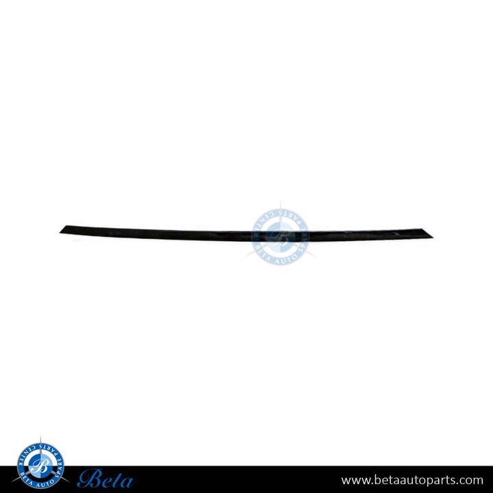 BMW 3 Series F30 (2012-2015), Front Bumper Center Moulding (Sport), Taiwan, 51117279699