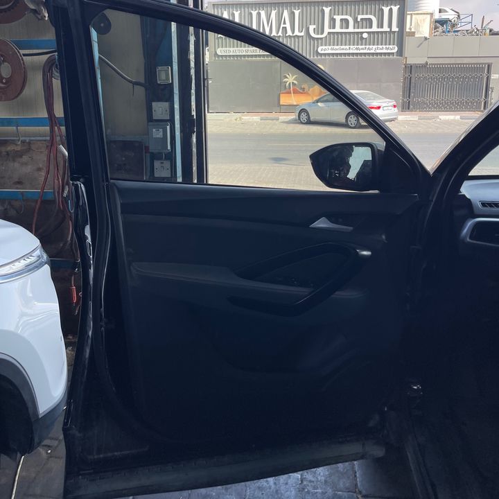 Door (LHF) - 2021 Chevrolet Captiva
