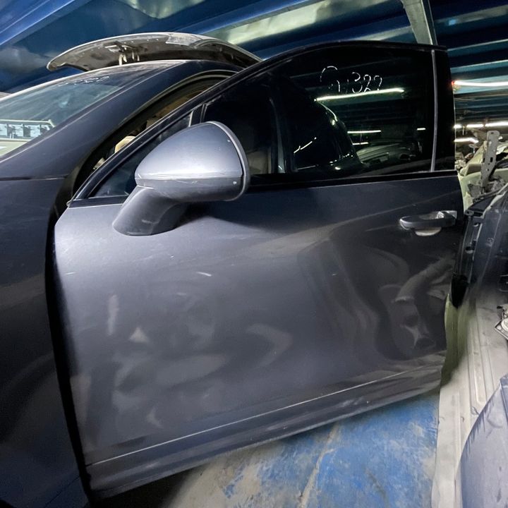 Door (LHF) - 2011 Porsche Cayenne S