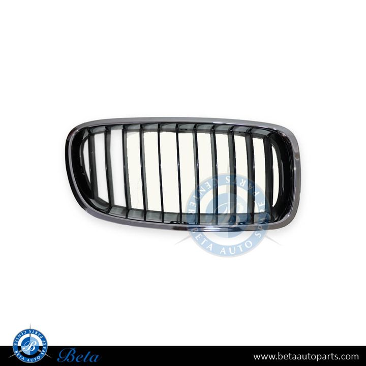 BMW 3 Series F30 (2012-2018), Radiator Grille (Right), China, 51137255412