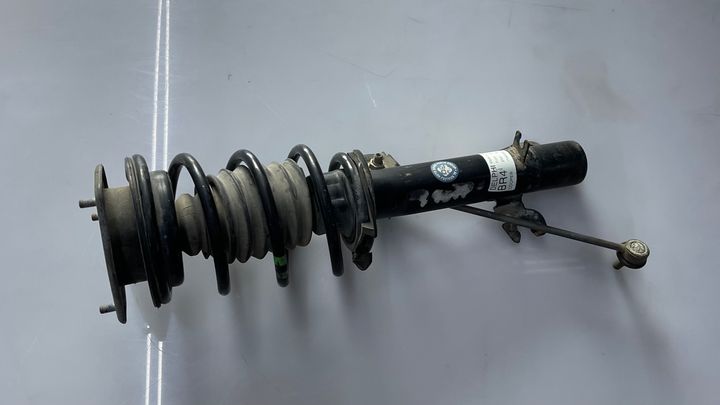 Shock Absorber (LHF) - 2010 Mini Cooper