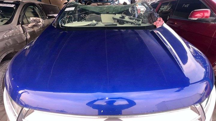 Hood/Bonnet - 2015 Ford Edge