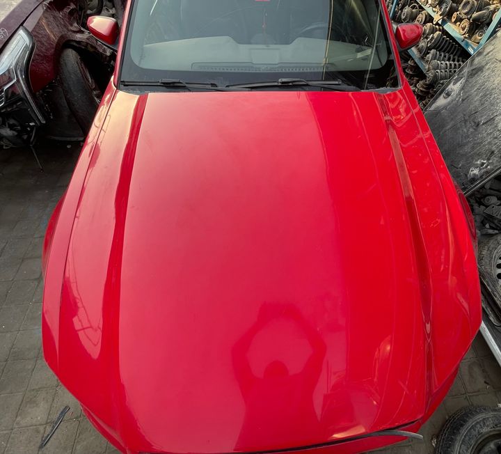 Hood/Bonnet - 2013 Ford Mustang
