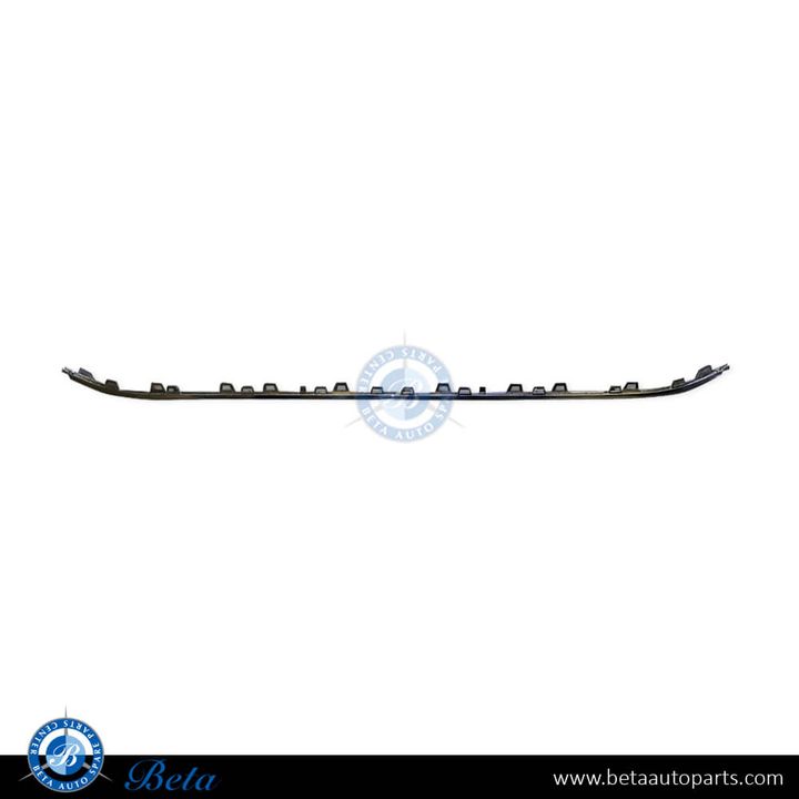Volkswagen Passat (2015-2019), Front Bumper Moulding - Chrome (Center), China, 3G0853245