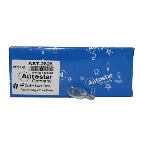 Autostar Germany T10 12V 5W LIGHT LED  WHITE 2825
