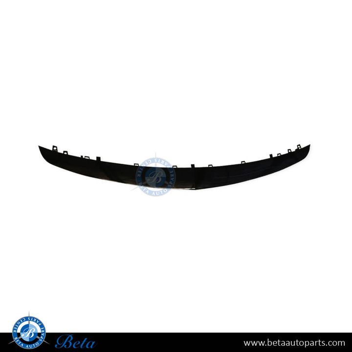 Mercedes E-Class W213 (2017-2020), Front Bumper Lower Moulding AMG E63 (Center), Taiwan, 2138853800