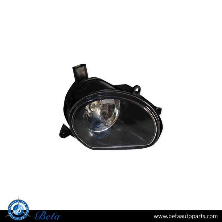 Audi Q7 (2006-2009), Fog Lamp (Left), China, 8P0941699