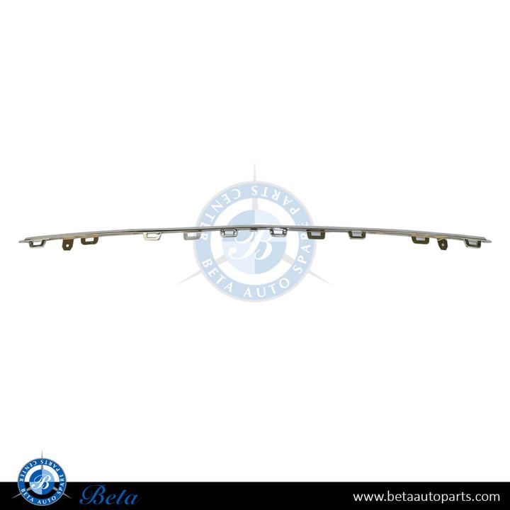 Mercedes S-Class W222 (2018-2020), Front Bumper Moulding AMG S63 S65 - Chrome (Center), Taiwan, 2228851001
