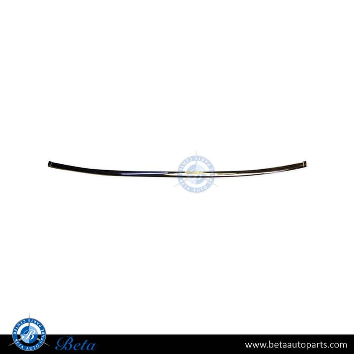 BMW 7 Series E38 (1995-2001), Rear Bumper Moulding - Chrome (Center), Taiwan, 51128125435