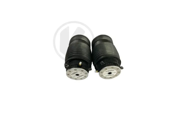 a2053200225 c   air spring   right rear