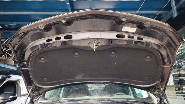 Hood/Bonnet - 2021 Chevrolet Traverse LS