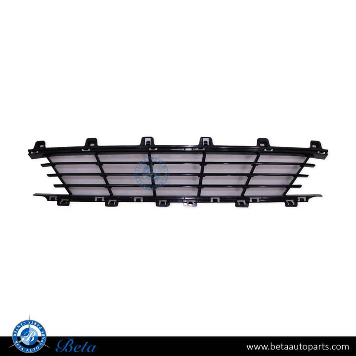 BMW 3 Series G20 (2019-Up), Front Bumper Lower Grille without ACC - Lines (Center), Taiwan, 51117464258