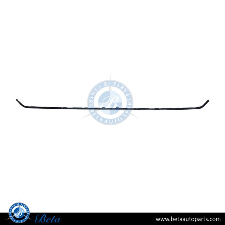 Range Rover Sport (2023-Up), Front Bumper Upper Moulding (Center), China, LR169073