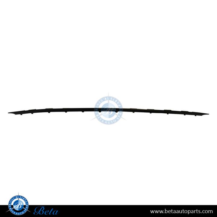 Mercedes E-Class W211 (2003-2005), Front Bumper Lower Moulding Avantgarde (Center), China, 2118850023