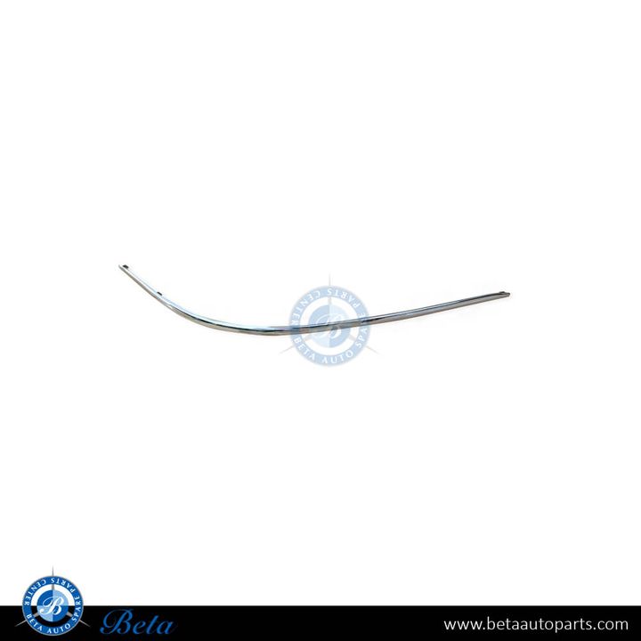 Mercedes S-Class W220 (1999-2005), Front Bumper Moulding - Chrome (Right), Taiwan, 2208850274
