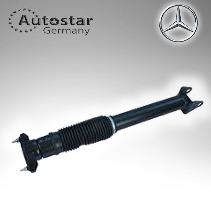 Mercedes Benz Shock Absorber 1663200030