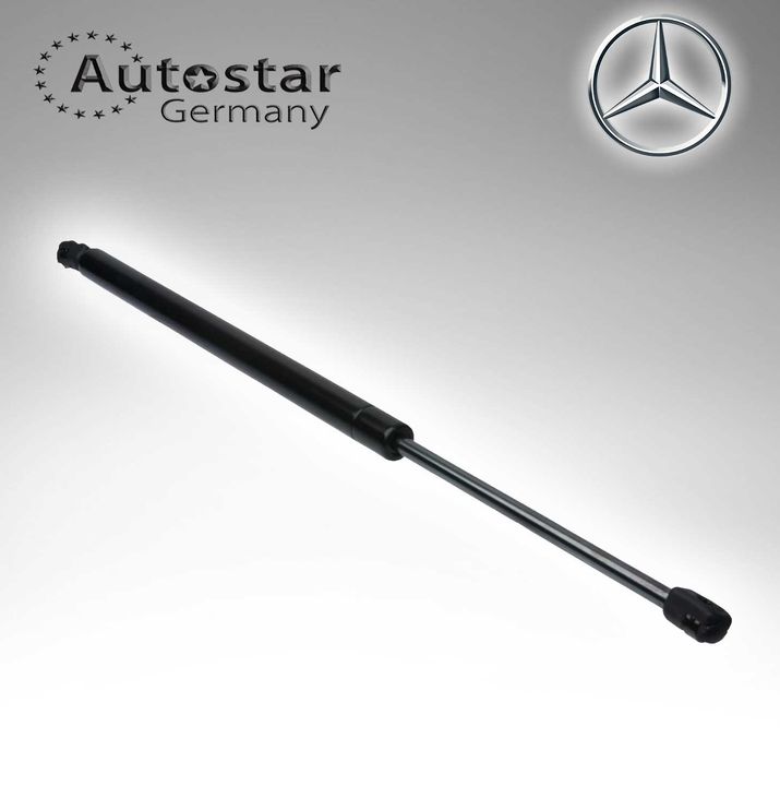 Mercedes Benz DICKY SHOCK 1647400145