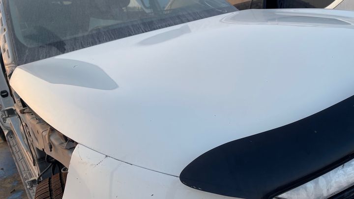 Hood/Bonnet - 2012 Infiniti QX56