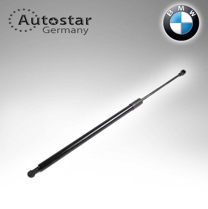 BMW DICKY SHOCK E53/ X5 51248402405
