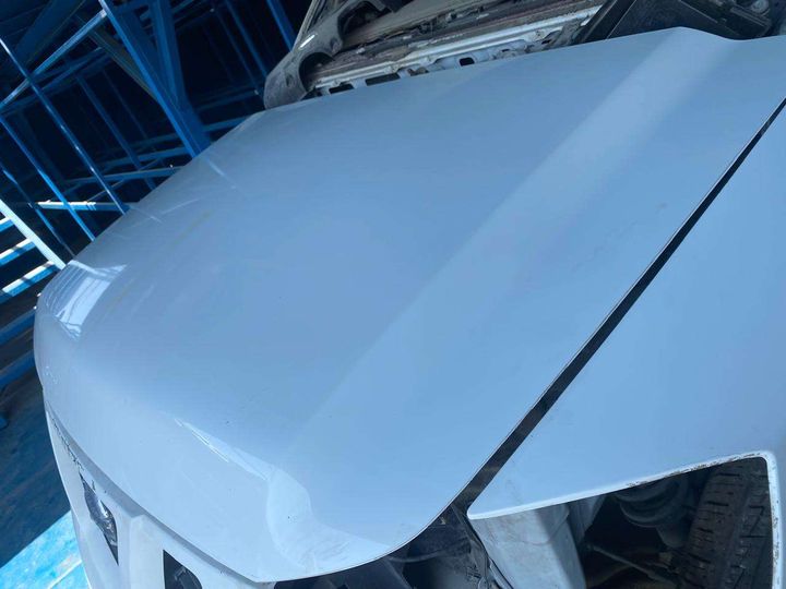 Hood/Bonnet - 2012 Nissan Armada