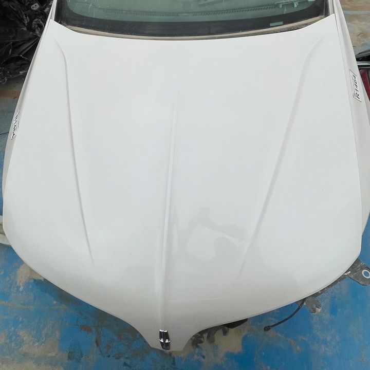 Hood/Bonnet - 2015 Lincoln MKS