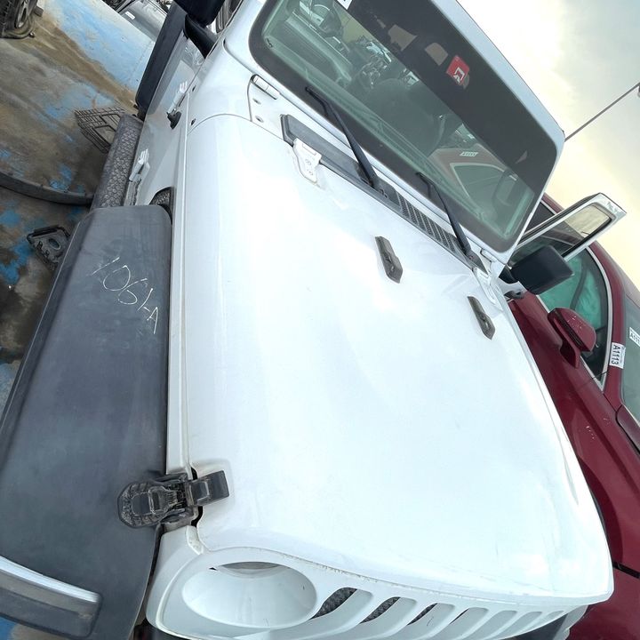 Hood/Bonnet - 2021 Jeep Wrangler