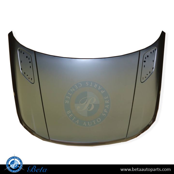 Range Rover Sport (2013-2022), Hood, China, LR044230