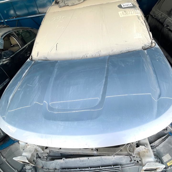 Hood/Bonnet - 2011 Ford Explorer