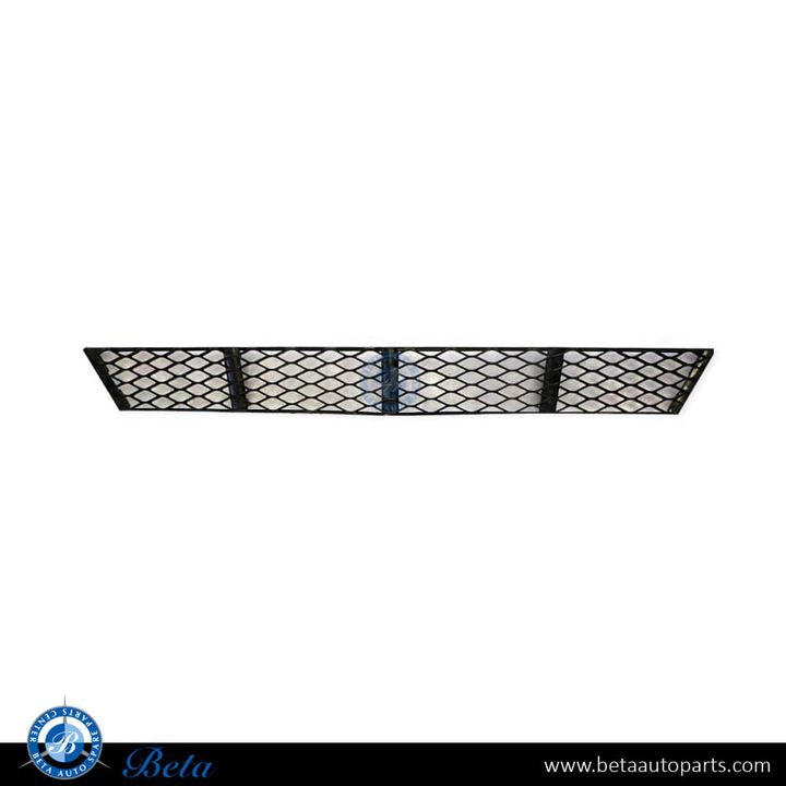 Mercedes E-Class W211 (2006-2009), Front Bumper Lower Grille Classic/Avantgarde/Elegance (Center), China, 2118850122