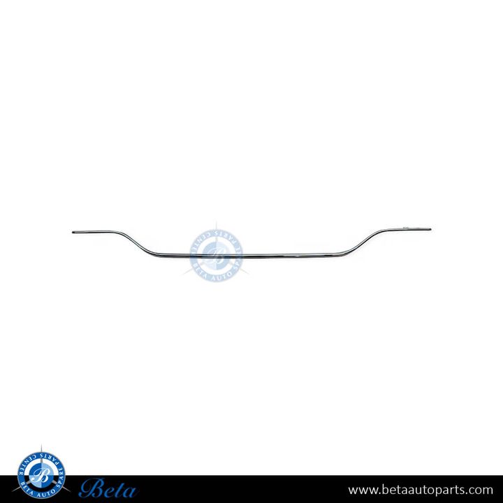 Mercedes C-Class W205 (2015-2018), Rear Bumper Moulding - Chrome (Center), China, 2058850721