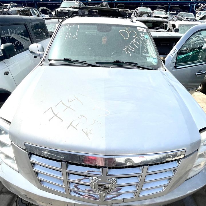 Hood/Bonnet - 2011 Cadillac Escalade Luxury