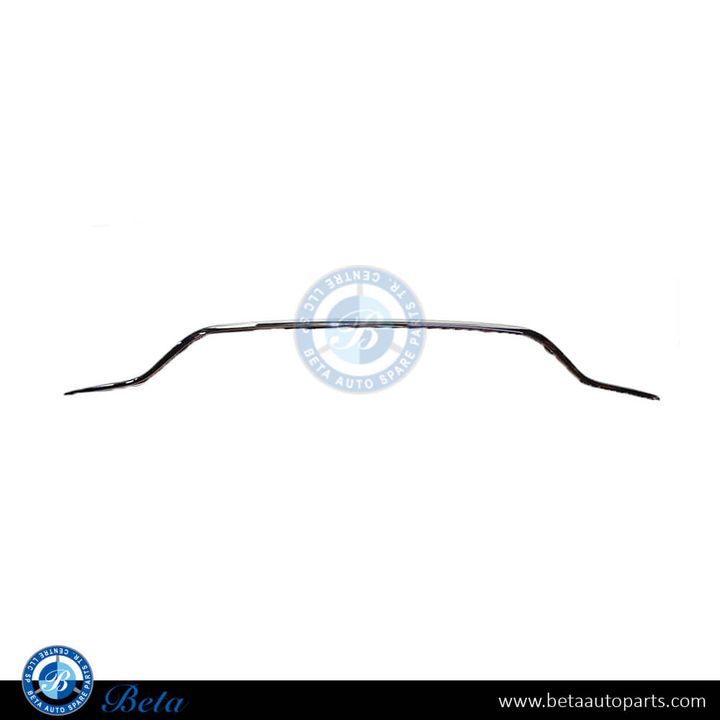 Mercedes A-Class W177 (2019-2022), Rear Bumper Moulding Normal AMG and AMG 35 (Chrome), China, 1778855601