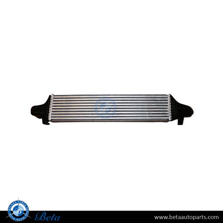 Mercedes W176 / W246 / C117 / X156  (2012-2018), Intercooler, China, 2465000100