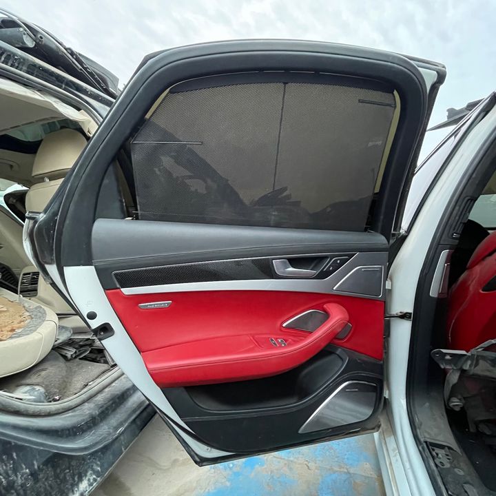 Door (LHB) - 2014 Audi S8