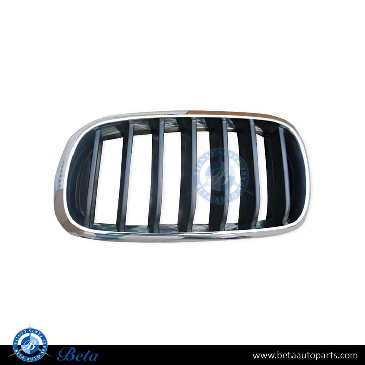 BMW X5 F15 (2014-2018), Radiator Grille - Black and Chrome (Left), China, 51137294485