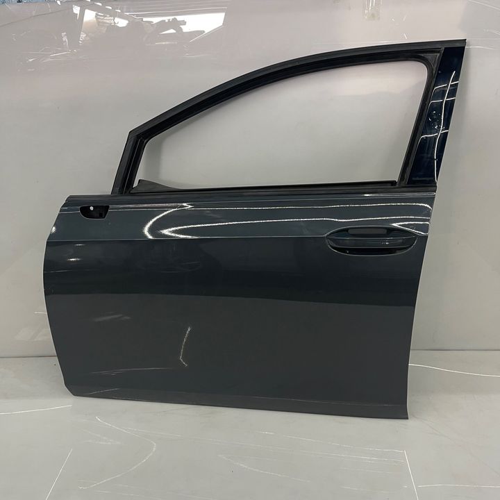 Door (LHF) - 2019 Volkswagen GTI