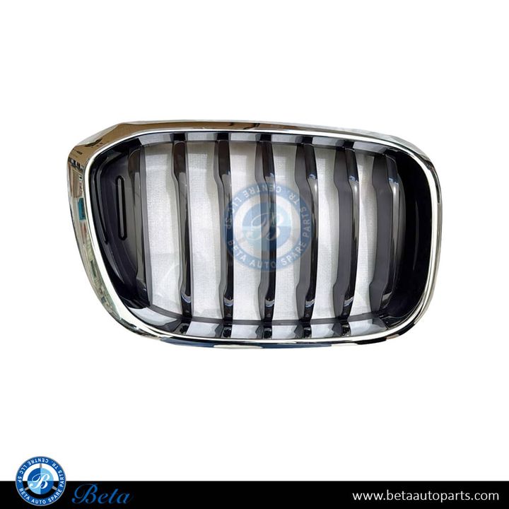 BMW X3 / X4 G01 / G02 (2018-2021), Radiator Grille (Right), China, 51137397466 / 51137440854