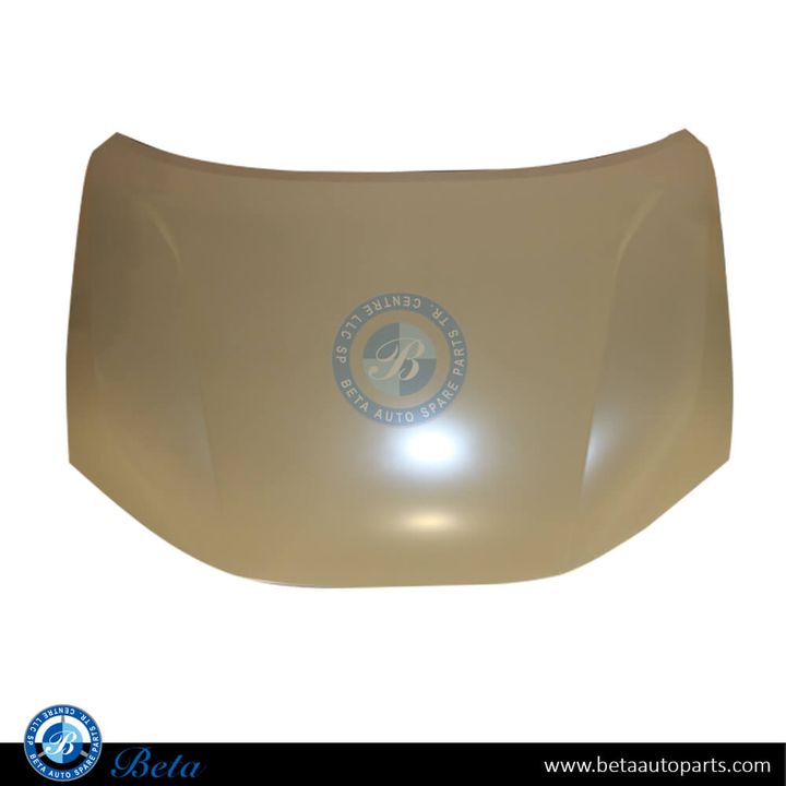 Jetour Dashing (2023-Up), Hood, China, F16-8402010CA-DY