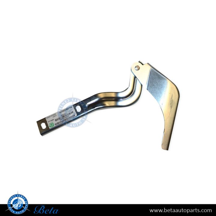 Volkswagen Passat (2011-2014), Hood Hinge - USA Type (Left), Taiwan, 561823301A